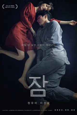 韩国电影《眠》海报